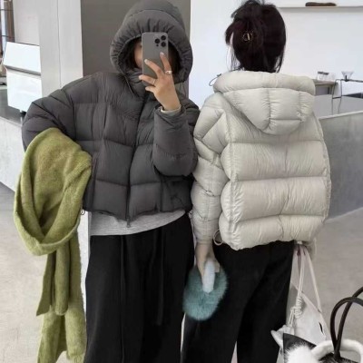 쟈싱 핑후 패딩