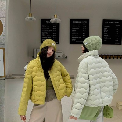쟈싱 핑후 패딩