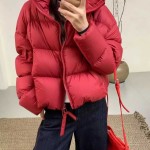 쟈싱 핑후 패딩