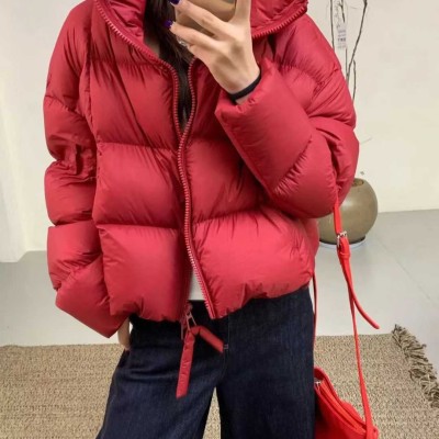 쟈싱 핑후 패딩