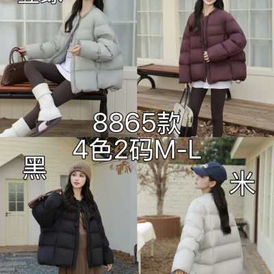 쟈싱 핑후 패딩
