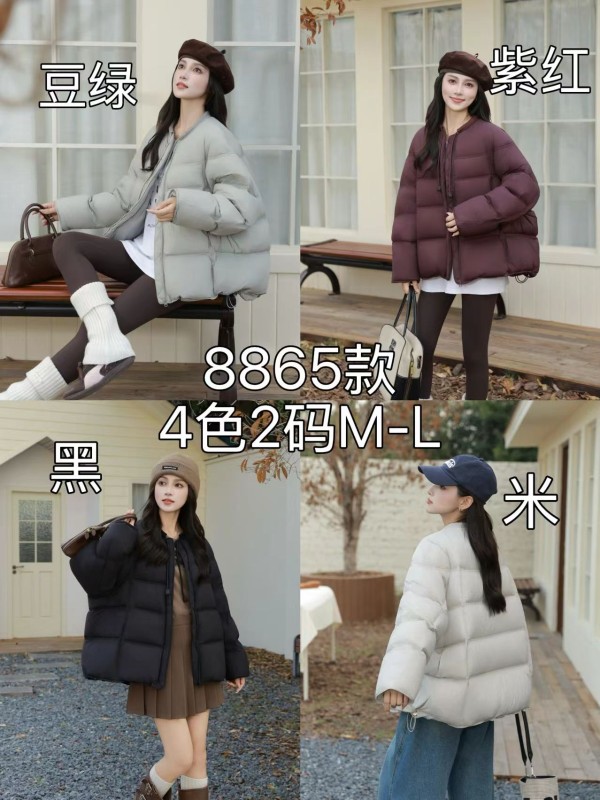쟈싱 핑후 패딩