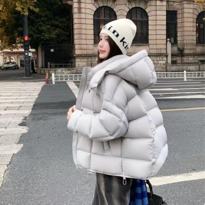 쟈싱 핑후 신상품