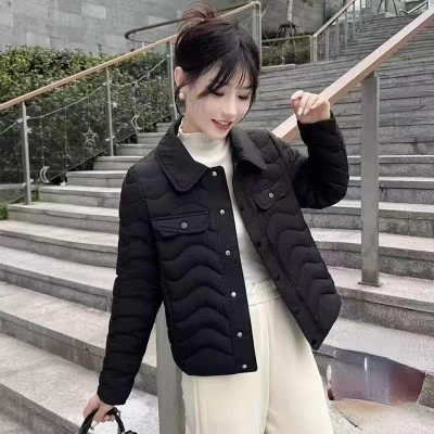 쟈싱 핑후 신상품