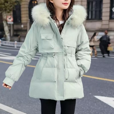쟈싱 핑후 신상품