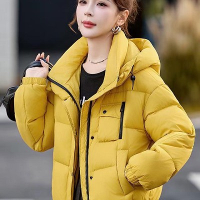 쟈싱 핑후 신상품