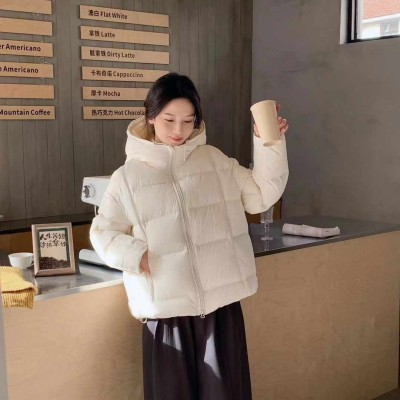쟈싱 핑후 신상품