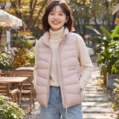 쟈싱 핑후 신상품