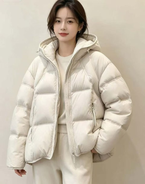 쟈싱 핑후 패딩